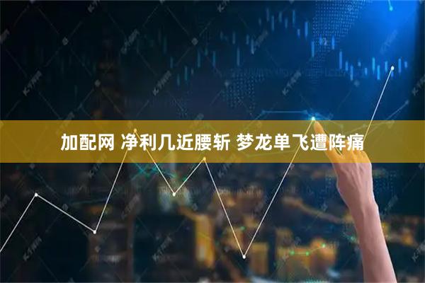 加配网 净利几近腰斩 梦龙单飞遭阵痛