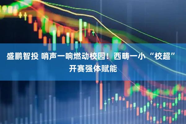 盛鹏智投 哨声一响燃动校园！西畴一小 “校超” 开赛强体赋能
