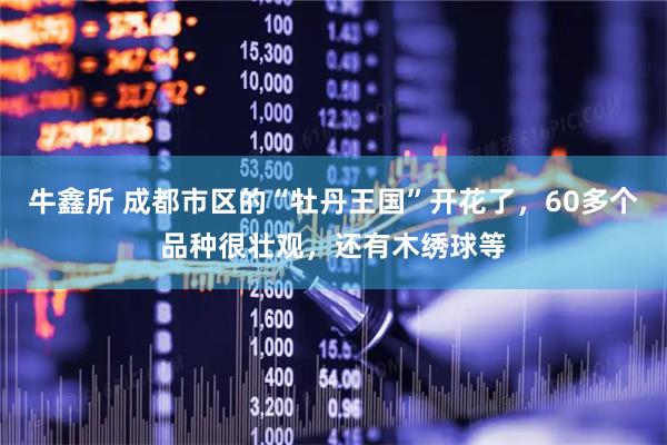 牛鑫所 成都市区的“牡丹王国”开花了，60多个品种很壮观，还有木绣球等
