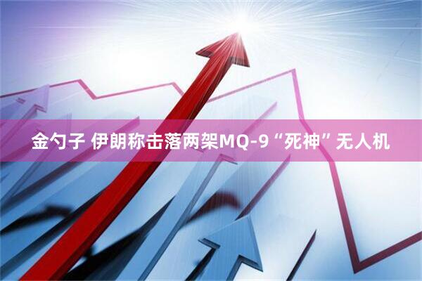 金勺子 伊朗称击落两架MQ-9“死神”无人机