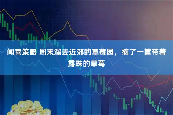 闻喜策略 周末溜去近郊的草莓园，摘了一筐带着露珠的草莓