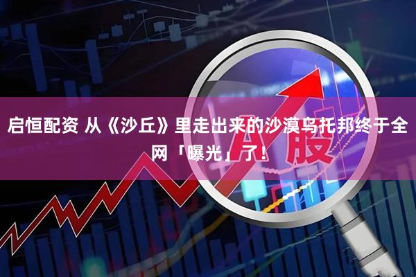 启恒配资 从《沙丘》里走出来的沙漠乌托邦终于全网「曝光」了！
