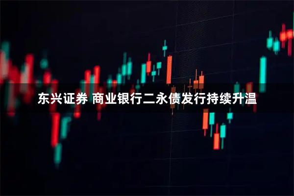 东兴证券 商业银行二永债发行持续升温